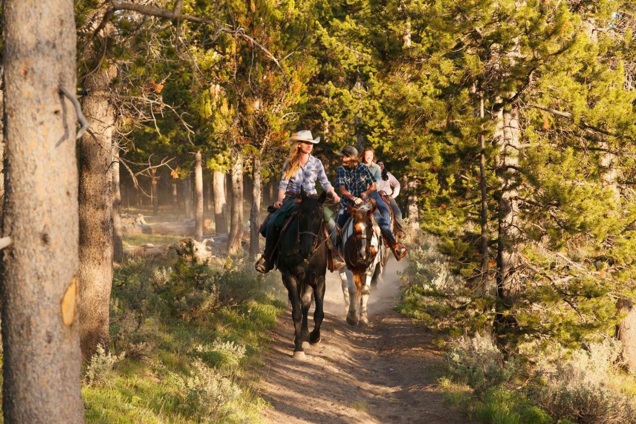 Headwaters Lodge & Cabins At Flagg Ranch Moran Exteriör bild